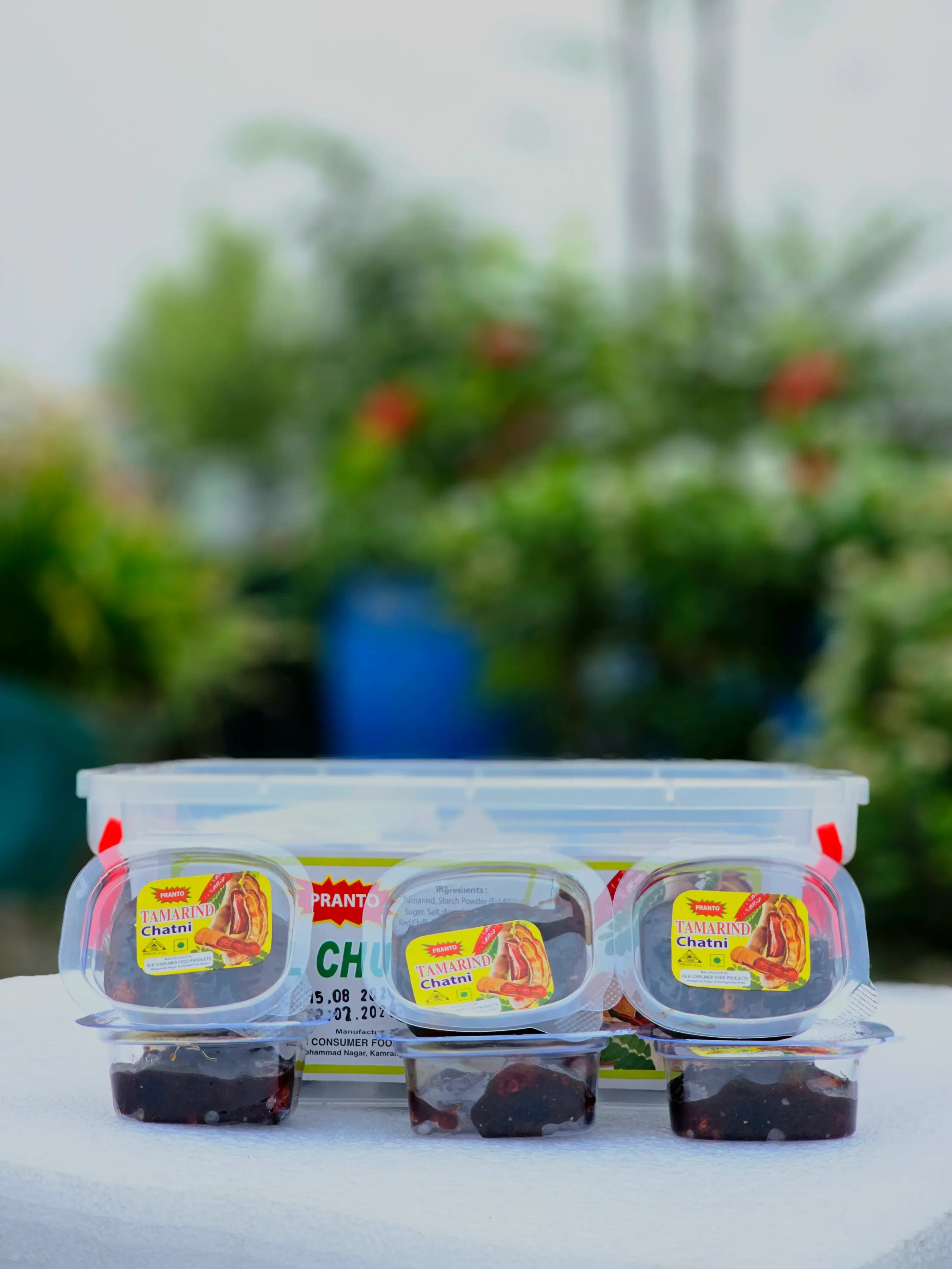 স্পেশাল টক-মিষ্টি তেঁতুল চাটনি (24pc)